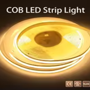 Warm White COB LED Strip – 5 Meters - 24V