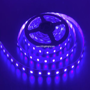 BLUE LED Strip – 5 Meters – Waterproof - 12V